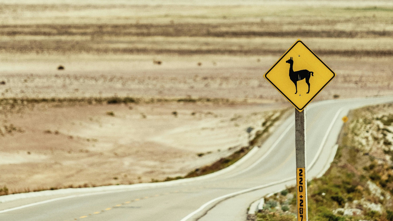 Panel on a road with warning for llmas. From an original photo of Fabio Eckert on Pexels